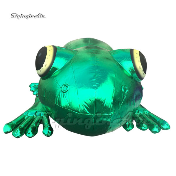 front of green inflatable frog sculpture