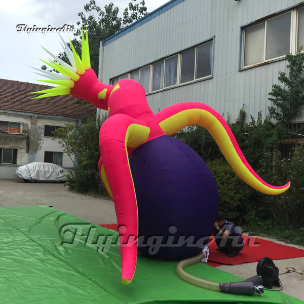 back-large-inflatable-sea-anemone